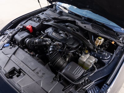 2024 Ford Mustang Dark Horse