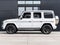 2025 Mercedes-Benz G-Class G 550