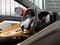 2024 Chevrolet Corvette Z06 Convertible 3LZ