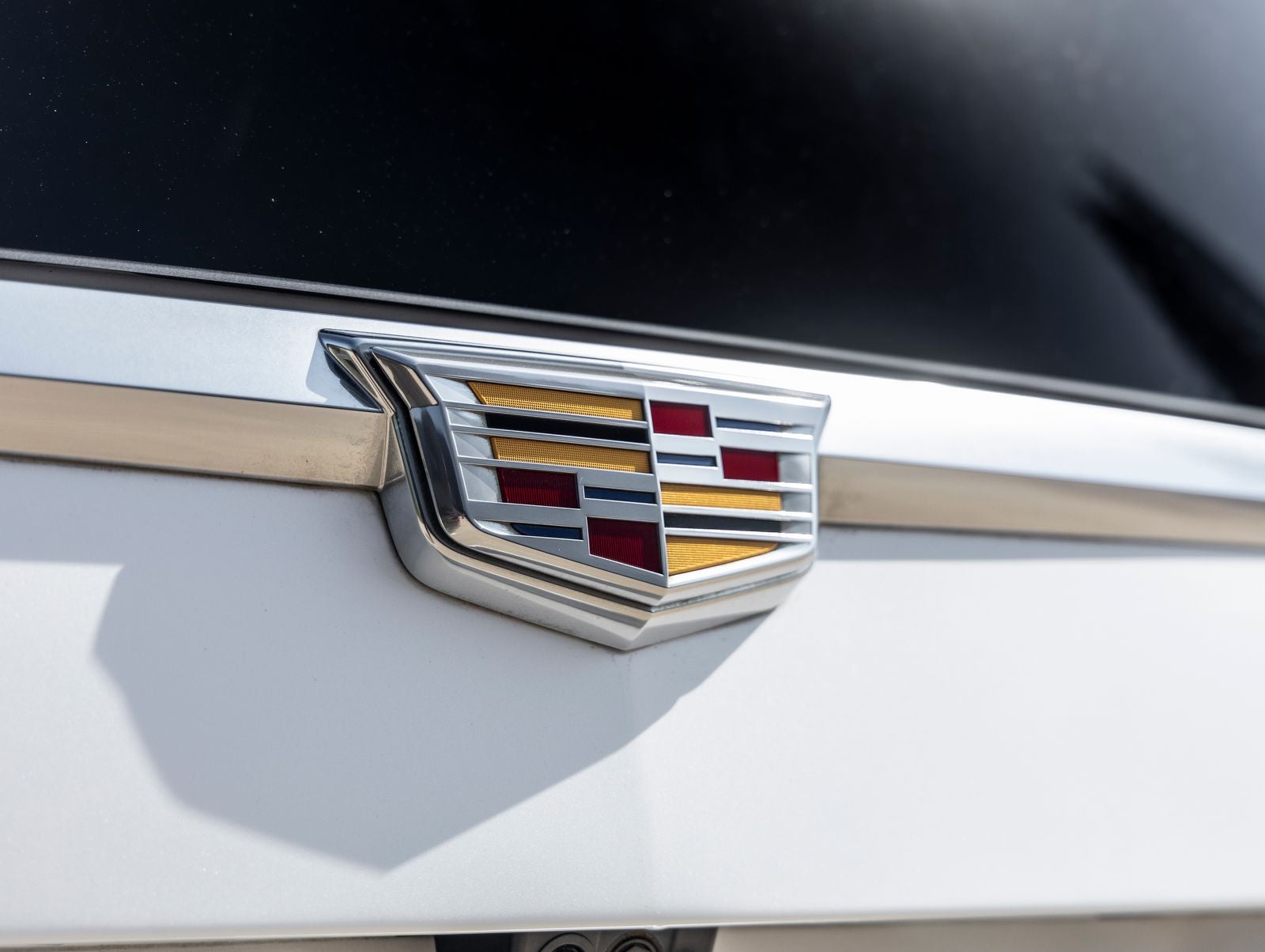 2019 Cadillac Escalade Platinum Edition