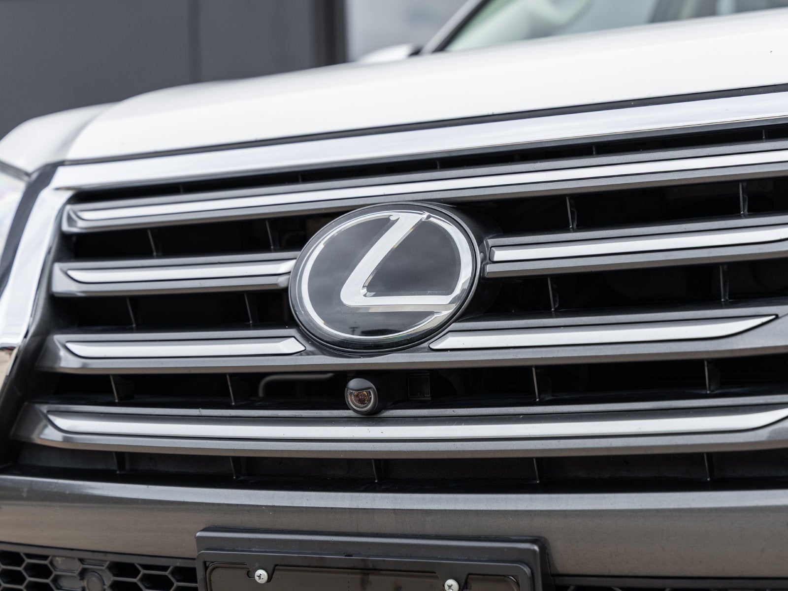 2019 Lexus GX 460 Luxury
