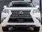 2019 Lexus GX 460 Luxury