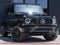 2025 Mercedes-Benz G-Class G 580 4MATIC®