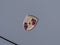 2025 Porsche 911 911 Carrera