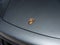 2025 Porsche 911 911 Turbo 50 Years