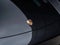 2025 Porsche Macan Macan Electric