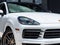 2023 Porsche Cayenne Cayenne S Coupe Platinum Edition