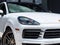 2023 Porsche Cayenne Cayenne S Coupe Platinum Edition